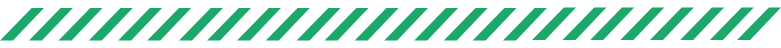 Schädlingsbekämpfung Brilon - Section Trenner