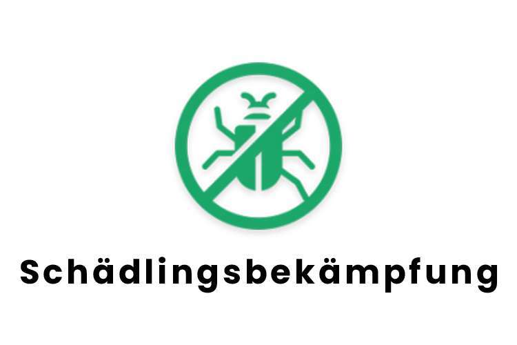 Schädlingsbekämpfung Brilon - Käfer Icon